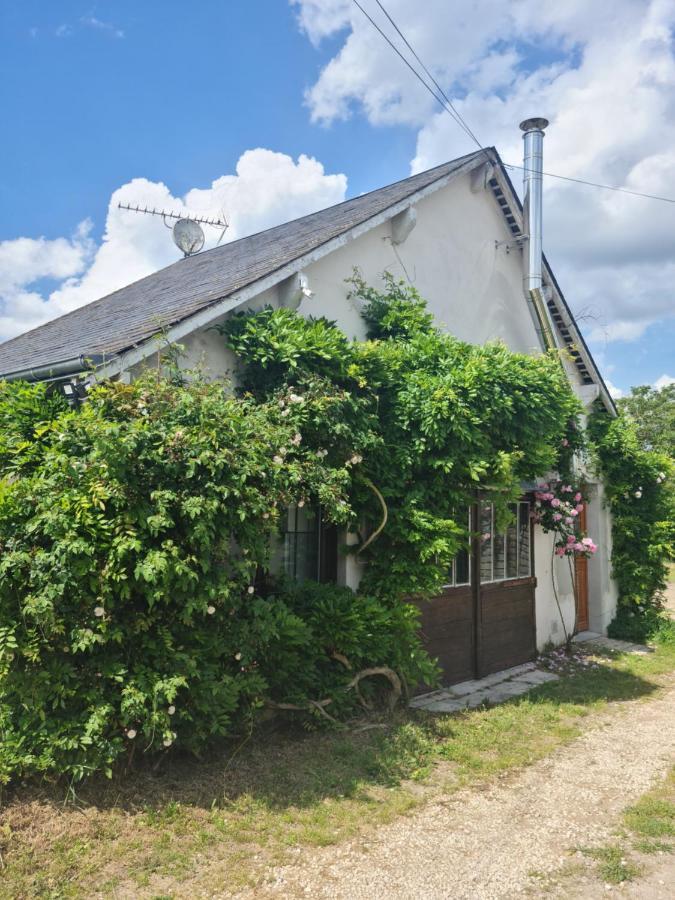 "Gite Les Glycines" Linge Inclus Proche Centre-Ville Blois Kültér fotó